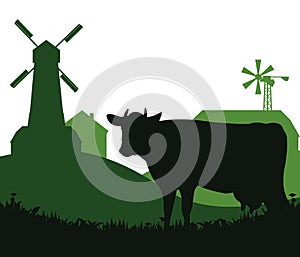 Cow graze in pasture. Picture silhouette. Farm pets. Domestic farm animals for milk and dairy products. Isolated on