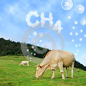 Cow grazing on pasture with CH4 text from clouds at the background. photo