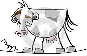 Cow_grey_white