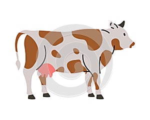 Cow hand drawn silhouette. Bull symbol. Beef silhouette. Farm animal isolated on white background.