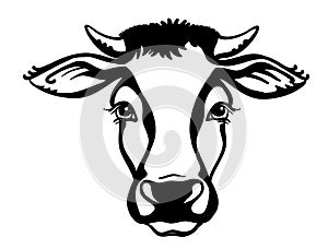 Cow head Farm animal. Vector black graphic illustration isolated on white