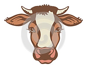 Cow head Farm animal. Vector color graphic illustration isolated on white