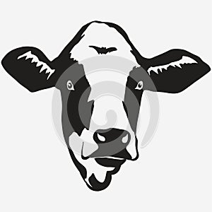Cow head vector