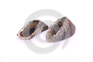 Cow hooves - dog treats photo