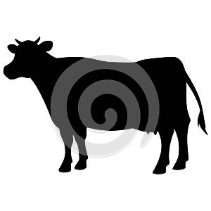 Cow Icon