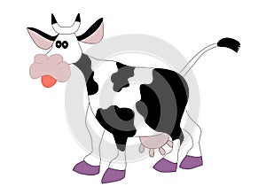 Cow, isolated, white background