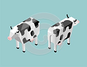 Cow isometric set. Cow farm animal. Cattle