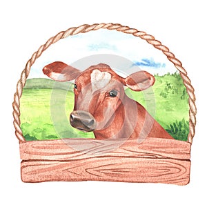 Cow label. Place for inscription or text. Landscape from green hills in the background. Watercolor illustration