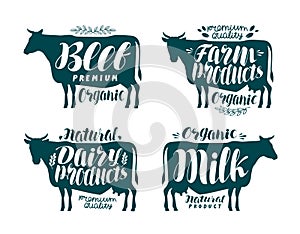 Cow, label set. Milk, beef, dairy products, meat, farm icon or logo. Lettering, calligraphy vector illustration