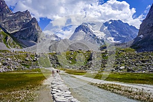 Cow lake, Lac des Vaches, in Vanoise national Park, France