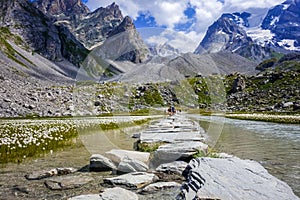 Cow lake, Lac des Vaches, in Vanoise national Park, France