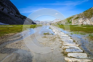 Cow lake, Lac des Vaches, in Vanoise national Park, France