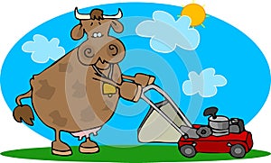 Cow And A Lawnmower
