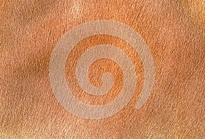 Cow leather which contain red hair.
