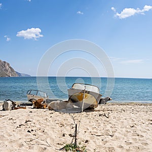 The cow lies on the shore of the lake. A cow lies resting in the surf on wet sand. cow grazing on the seashore, animal and nature.