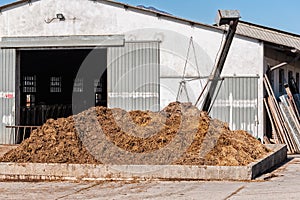 Cow manure that will be used to fertilize. photo