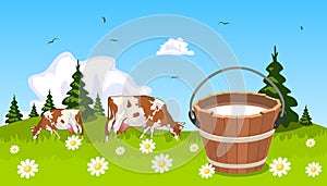 Cow on meadow bucket of milk