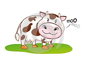 Cow moo moo