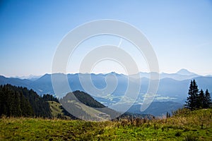 Cow in the mountains from lenngries brauneck, alps in background