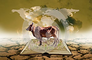 Cow on open book at dry land with world map overlay on sky, Agriculture knowledge