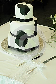 Cow Pattern Wedding Cake