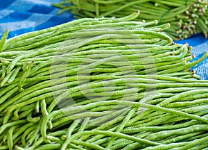Cow peas. Pile of Thai Long Beans for sale in vegetable local market