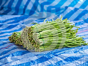 Cow peas. Pile of Thai Long Beans for sale in vegetable local market