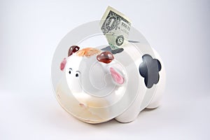 Cow piggy bank