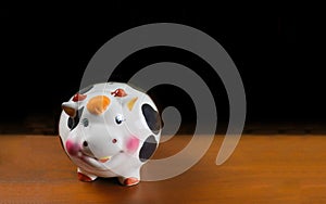 Cow piggy bank, savings