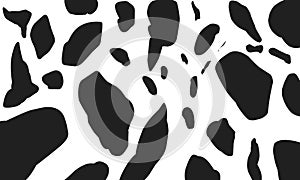 Cow Print animal skin texture,dalmatian pattern