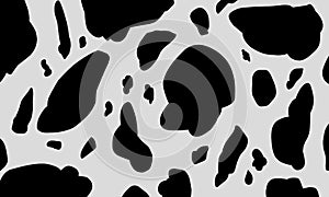 Cow Print animal skin texture,dalmatian pattern