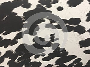 Cow print background fabric pattern