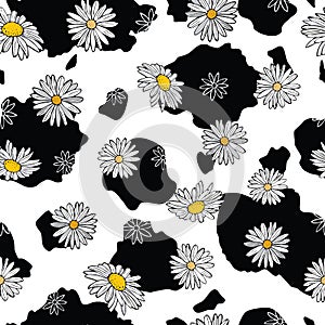 Cow print with White Daisies seamless pattern background photo