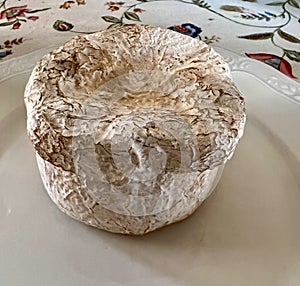 Cow's milk cheese, from Galicia, Spain. One of the many kinds of cheeses in Spain. photo