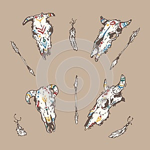 Cow sculls with arrows and feathers