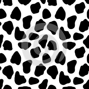 Cow seamless pattern, abstract vector background with black spots