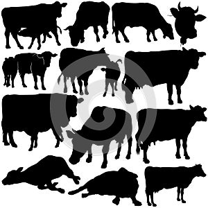 Cow Set Silhouettes