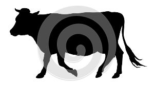 Cow silhouette