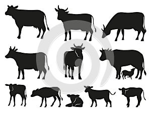 Cow silhouette. Black cows and calf mammal animals vector icons set photo