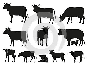 Cow silhouette. Black cows and calf mammal animals vector icons set