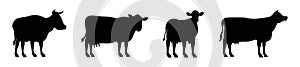 cow silhouette in field eating grass. Vector cow icon or logo for farm store or market