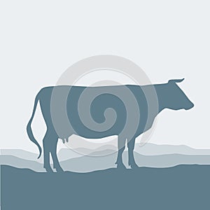 Cow silhouette graze in the field, landscape, sky, grass, pasture. Blue, gray background. Vector