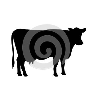 Cow silhouette icon