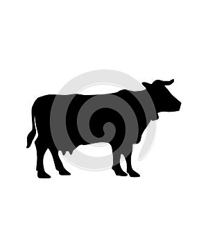 Cow silhouette vector