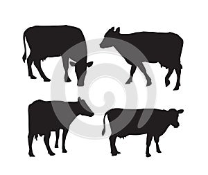 Cow silhouette