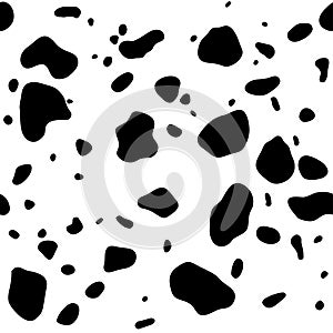 Cow skin. Dalmatians dog spots. animal skin seamless pattern. Black and white. Animal print texture. Vector background.