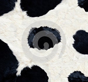 Cow skin texture