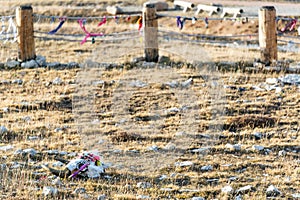 Cow Skull at Medicine Wheel