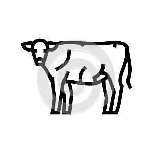 cow standing line icon vector illustration