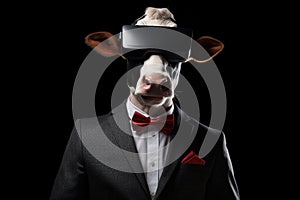 Cow In Suit And Virtual Reality On Black Background